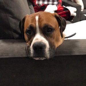 Meet your Posher, Kelsey